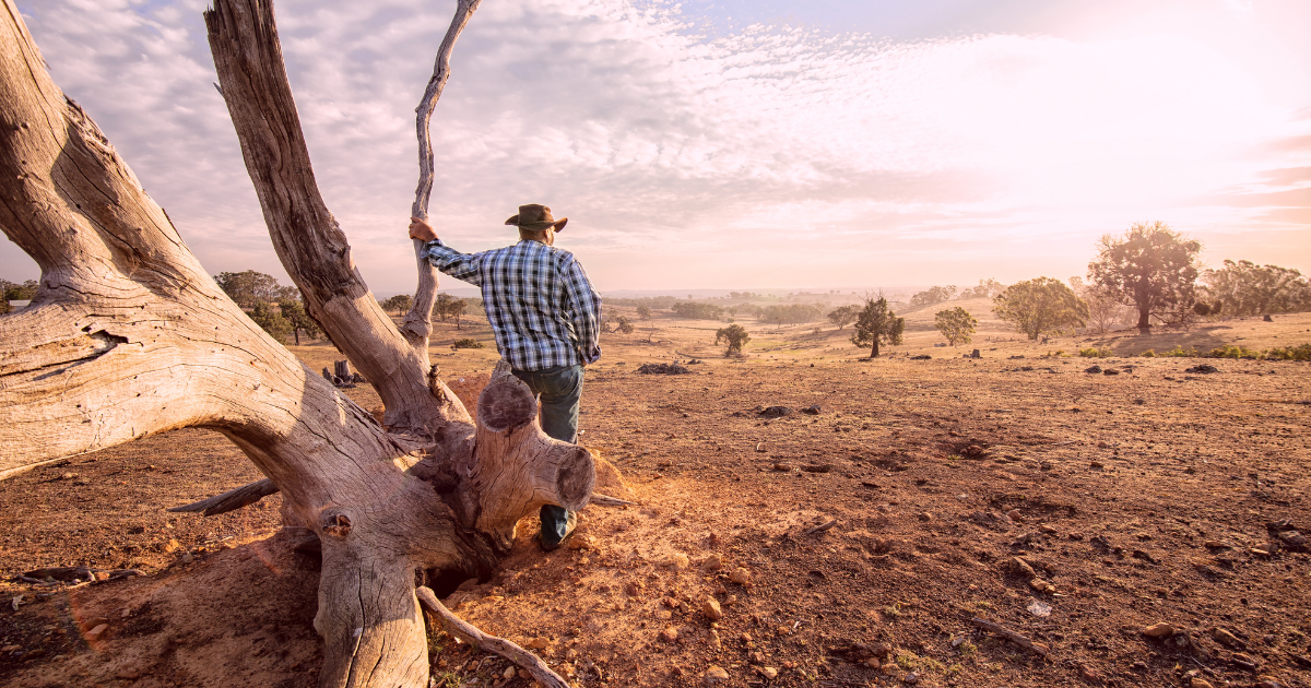 Why Australian Heat Hits Different: The Science Behind Our Scorching Summers